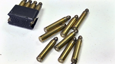 Ceramonial Rifles